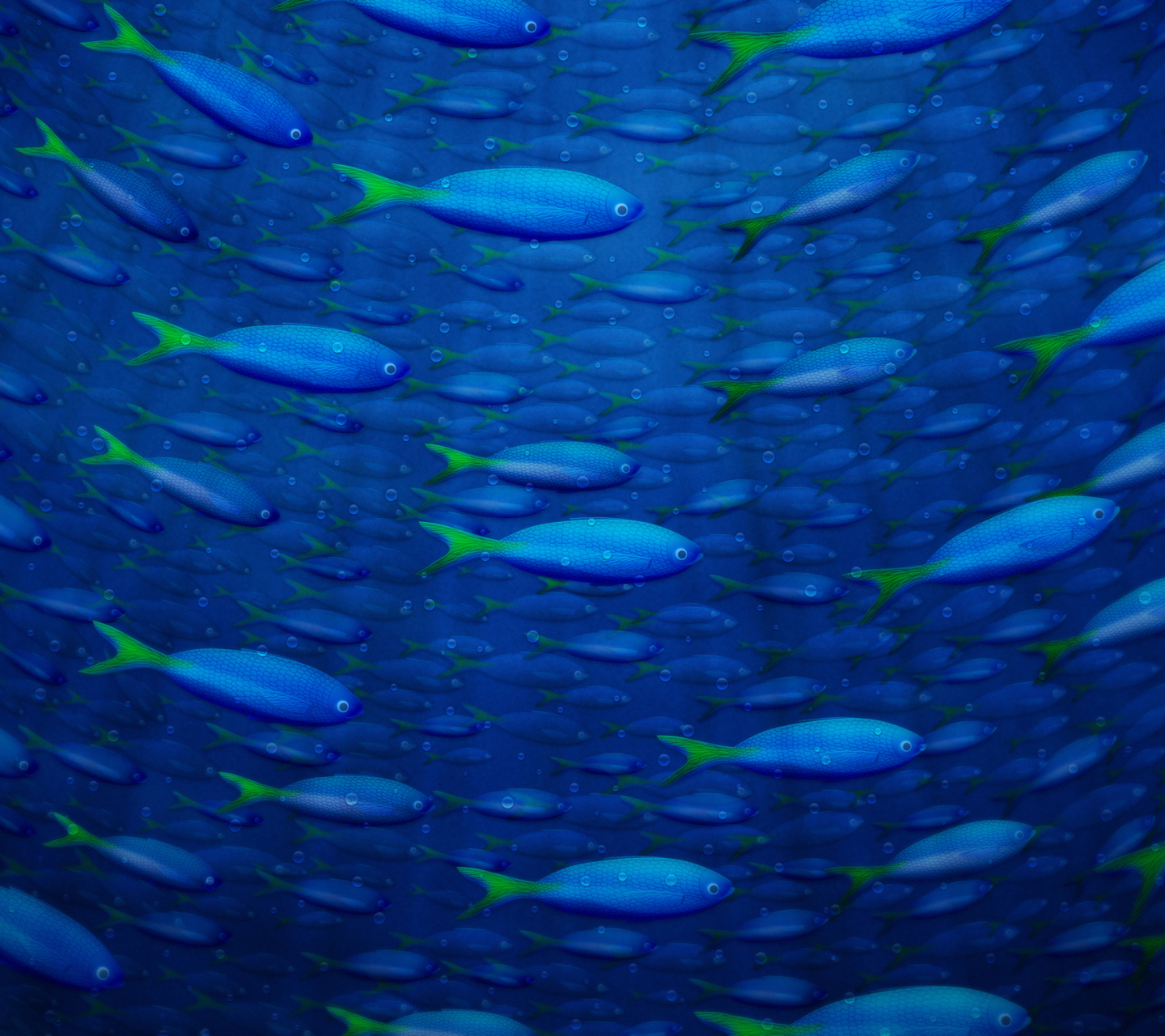 Das Plenty Of Fish In Sea Wallpaper 1440x1280