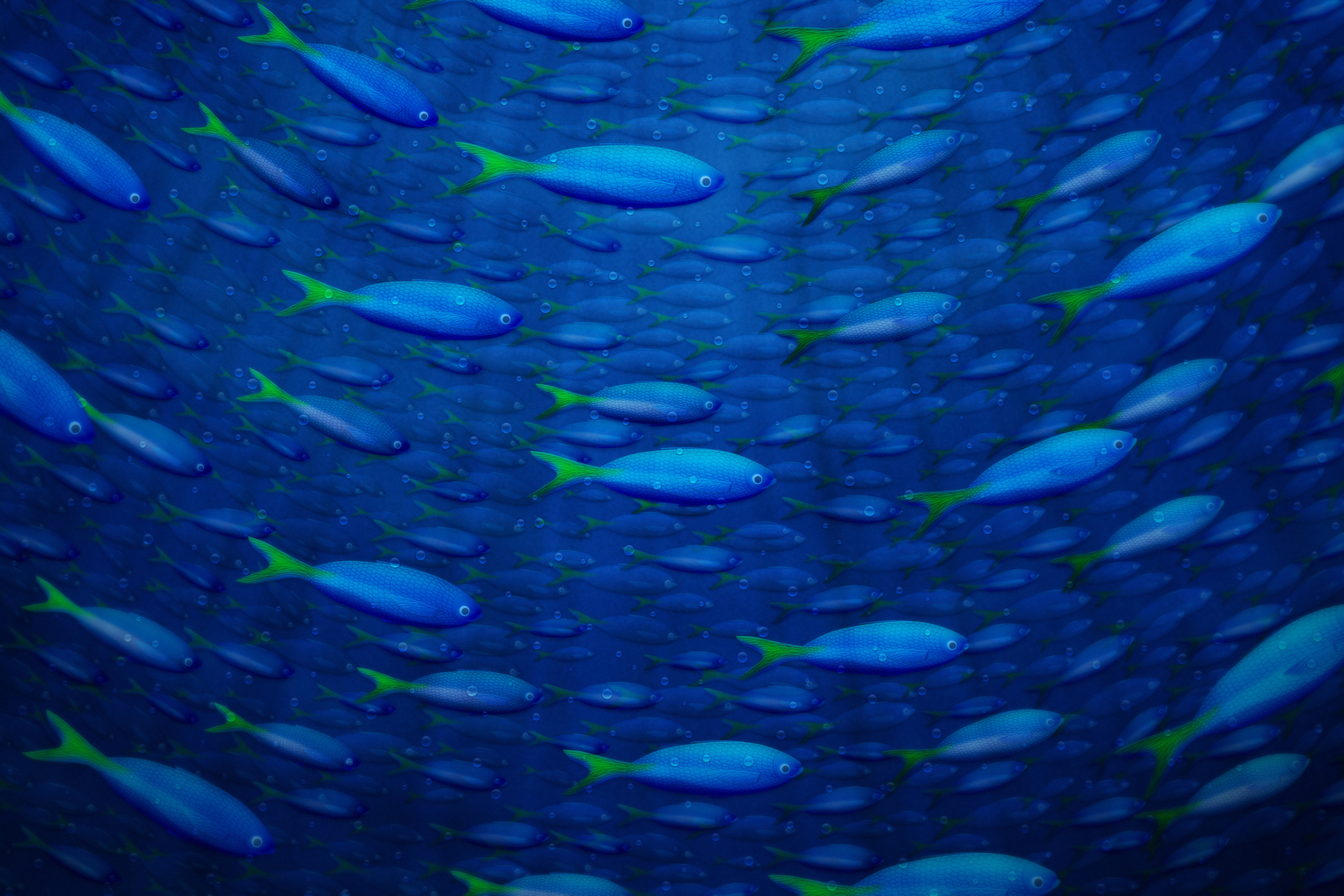 Fondo de pantalla Plenty Of Fish In Sea 2880x1920