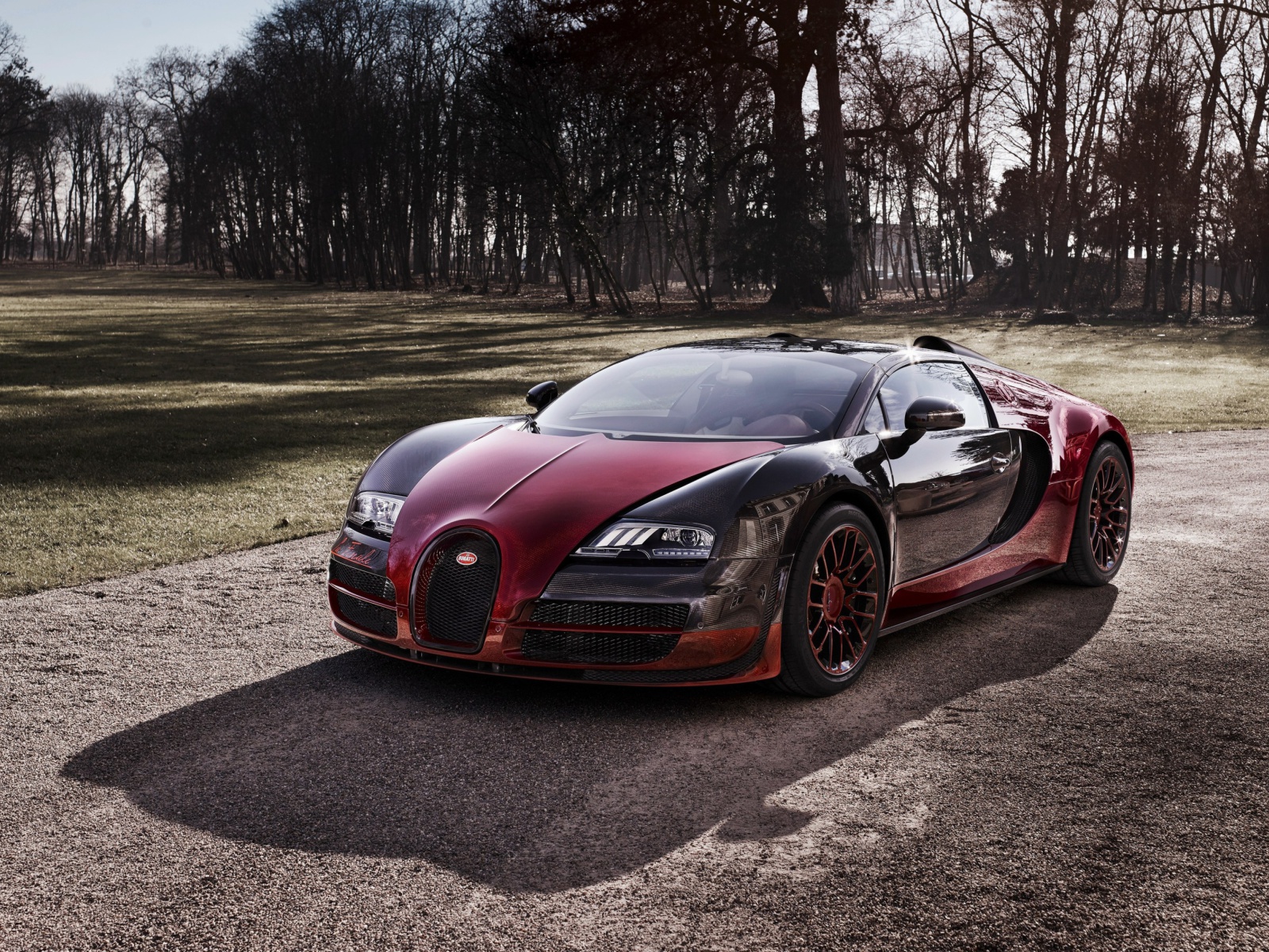 Bugatti Veyron Grand Sport Vitesse screenshot #1 1600x1200