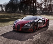 Das Bugatti Veyron Grand Sport Vitesse Wallpaper 176x144