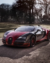 Fondo de pantalla Bugatti Veyron Grand Sport Vitesse 176x220