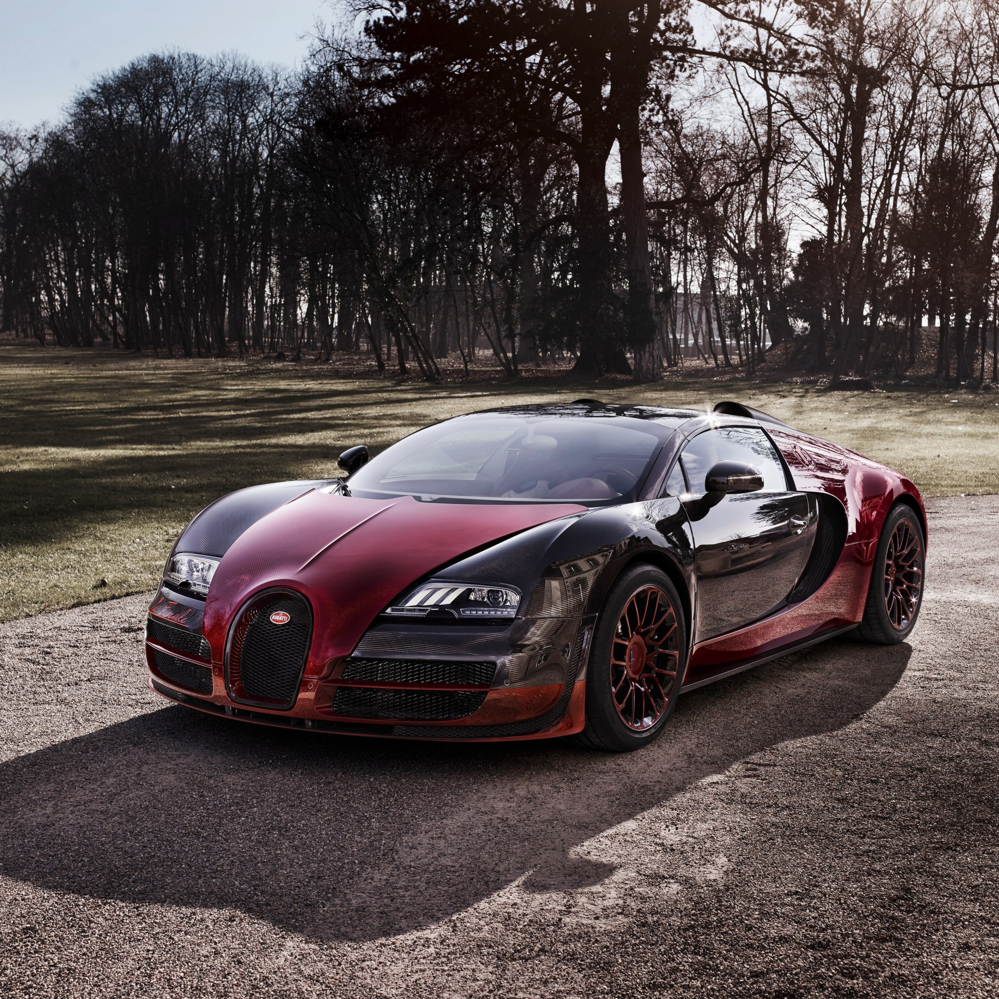 Fondo de pantalla Bugatti Veyron Grand Sport Vitesse 2048x2048