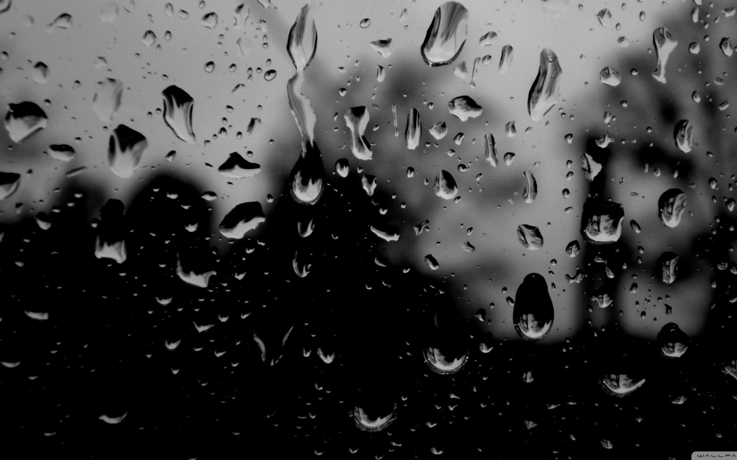 Screenshot №1 pro téma Dark Rainy Day 1440x900
