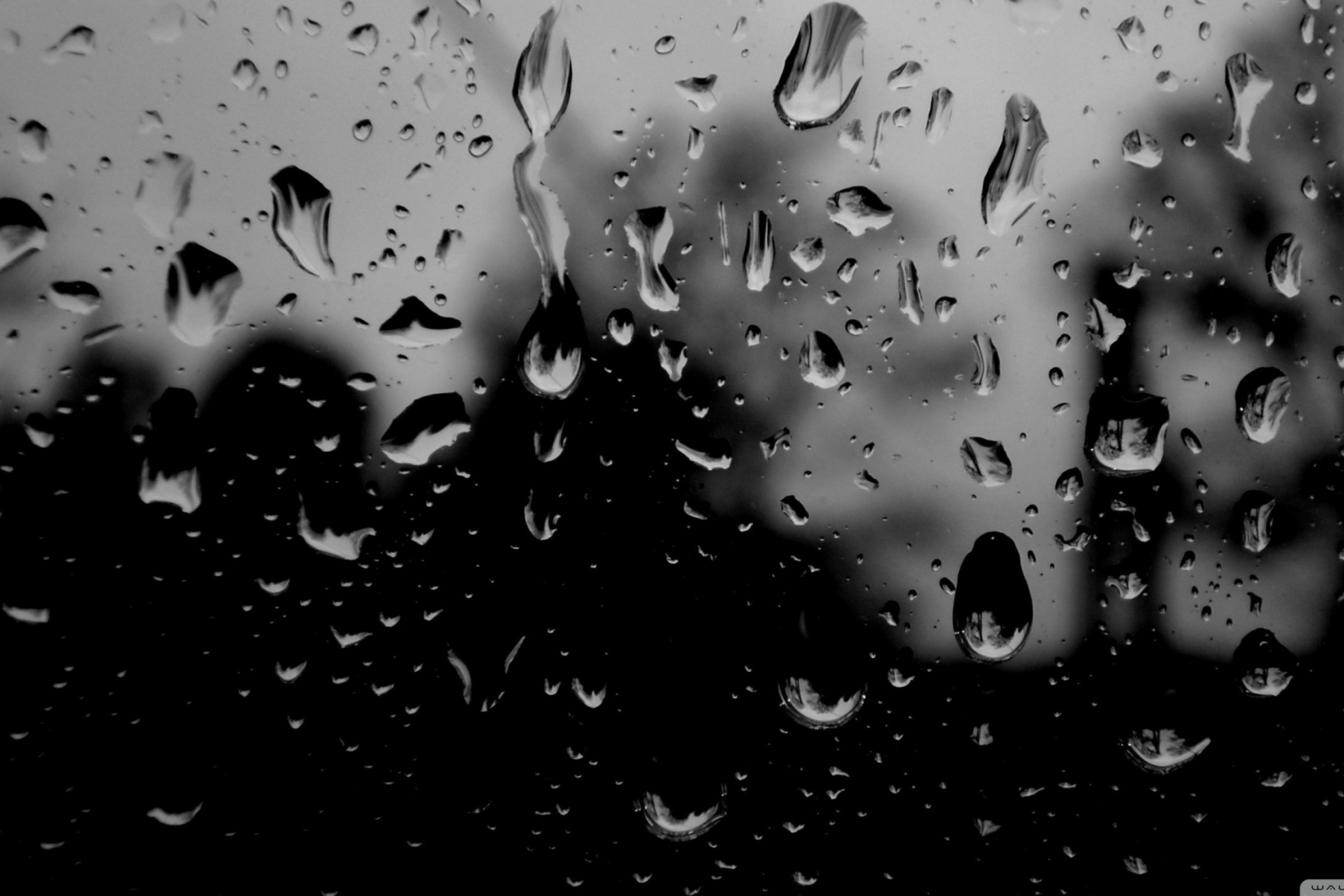 Обои Dark Rainy Day 2880x1920