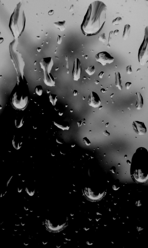 Das Dark Rainy Day Wallpaper 480x800