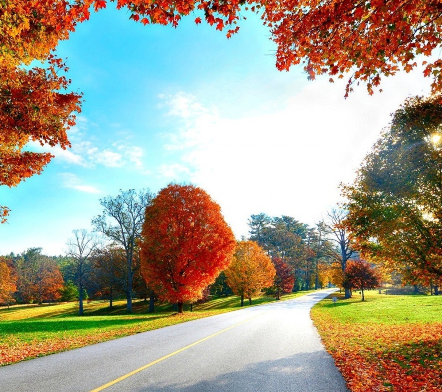 Das Autumn View Wallpaper 1440x1280