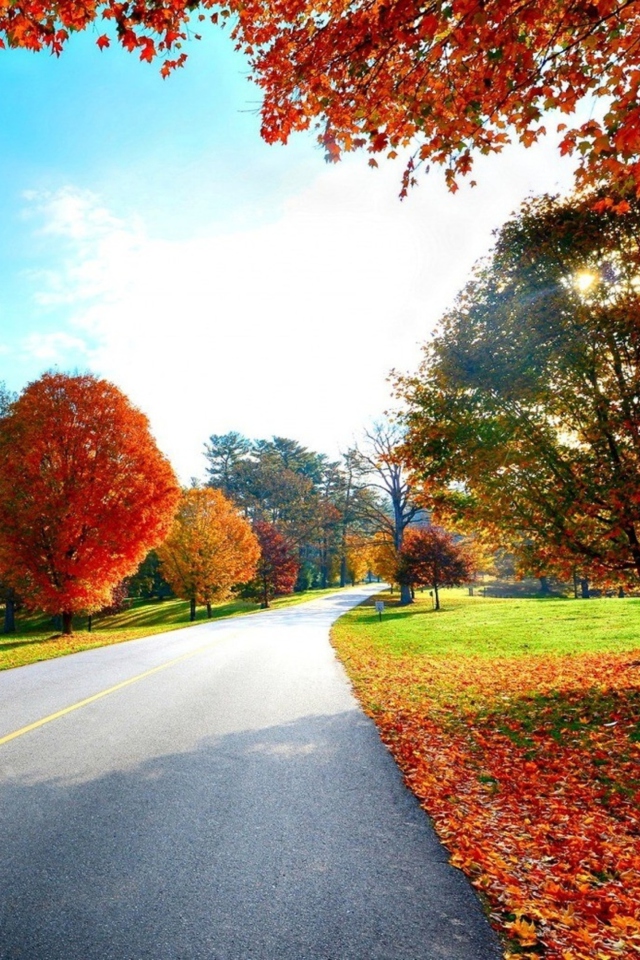 Das Autumn View Wallpaper 640x960