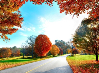 Autumn View Wallpaper for Android, iPhone and iPad