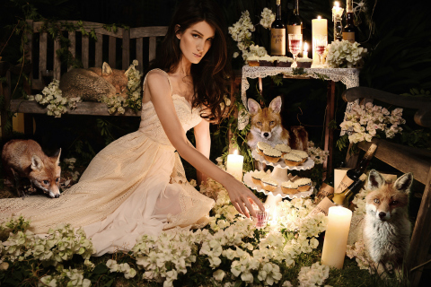 Das Fox Princess Wallpaper 480x320