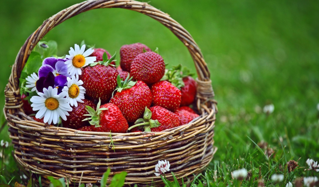 Berries And Flowers wallpaper 1024x600