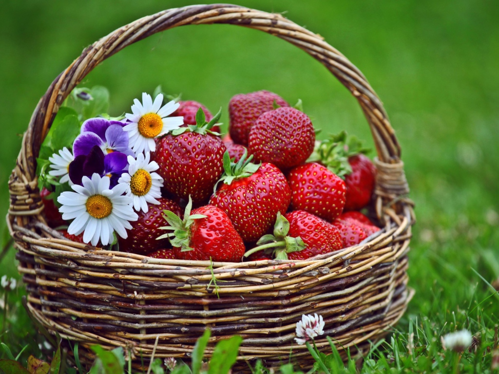 Sfondi Berries And Flowers 1024x768