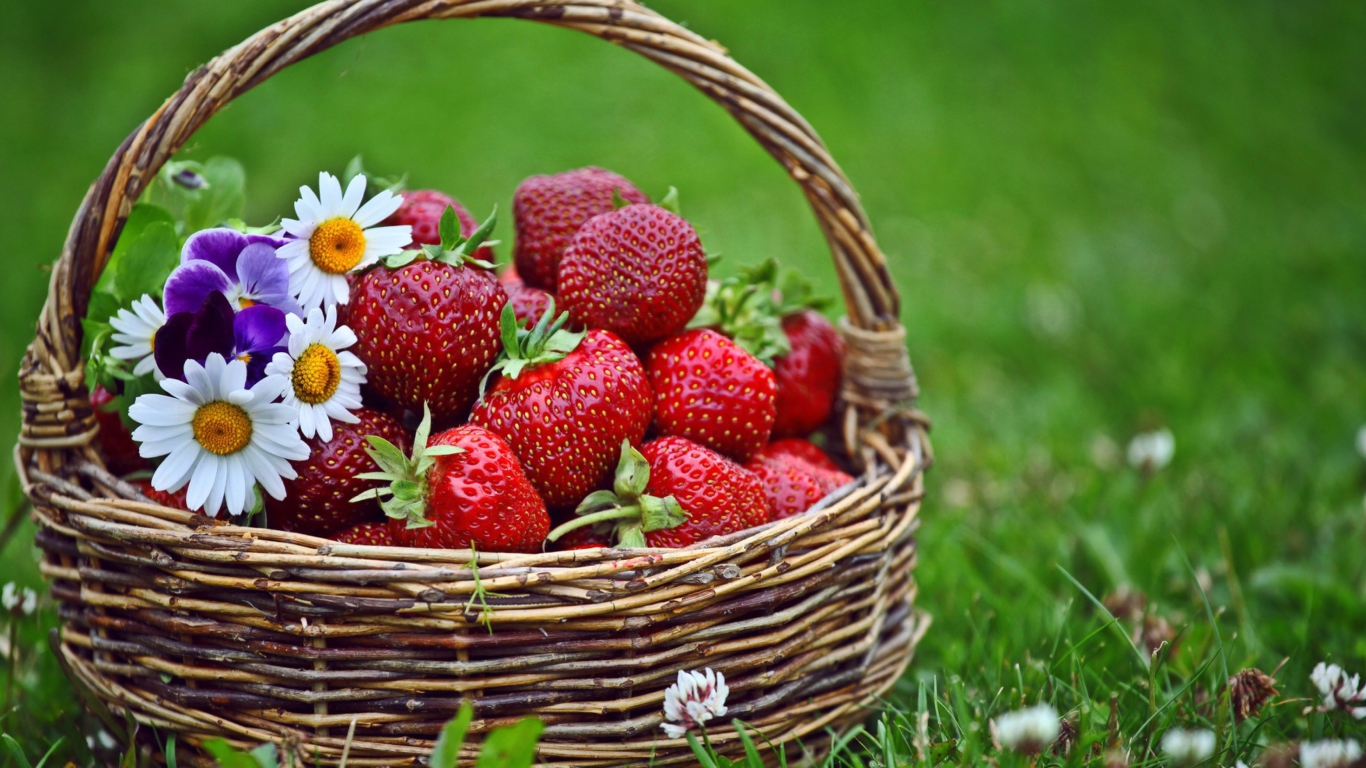 Berries And Flowers wallpaper 1366x768