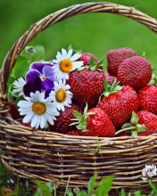 Berries And Flowers wallpaper 176x220