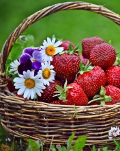 Berries And Flowers screenshot #1 176x220