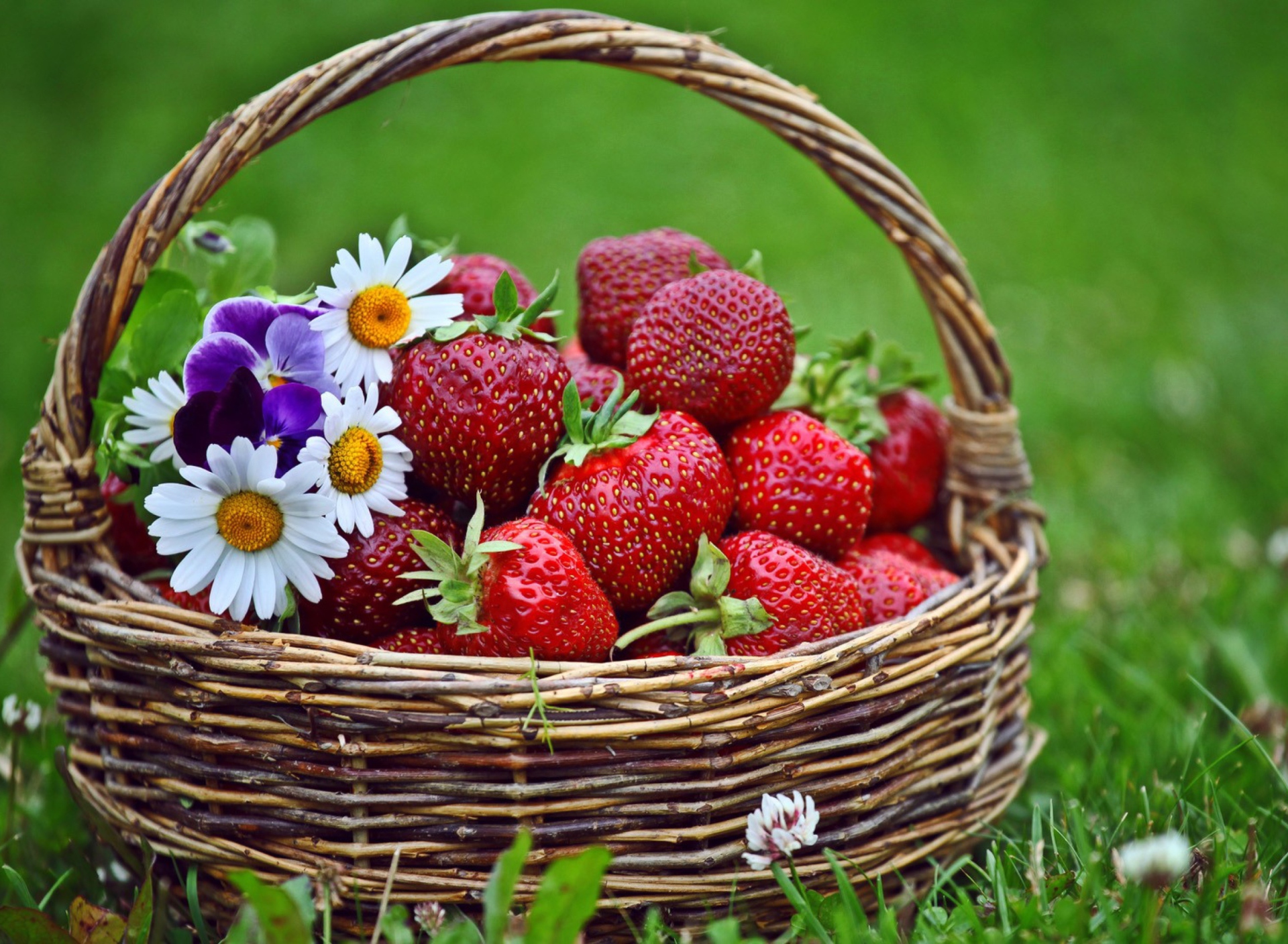 Fondo de pantalla Berries And Flowers 1920x1408