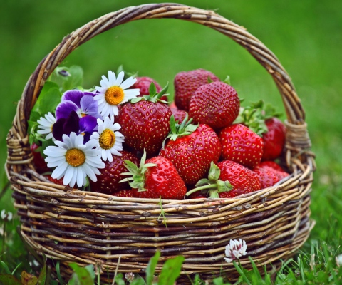 Обои Berries And Flowers 480x400