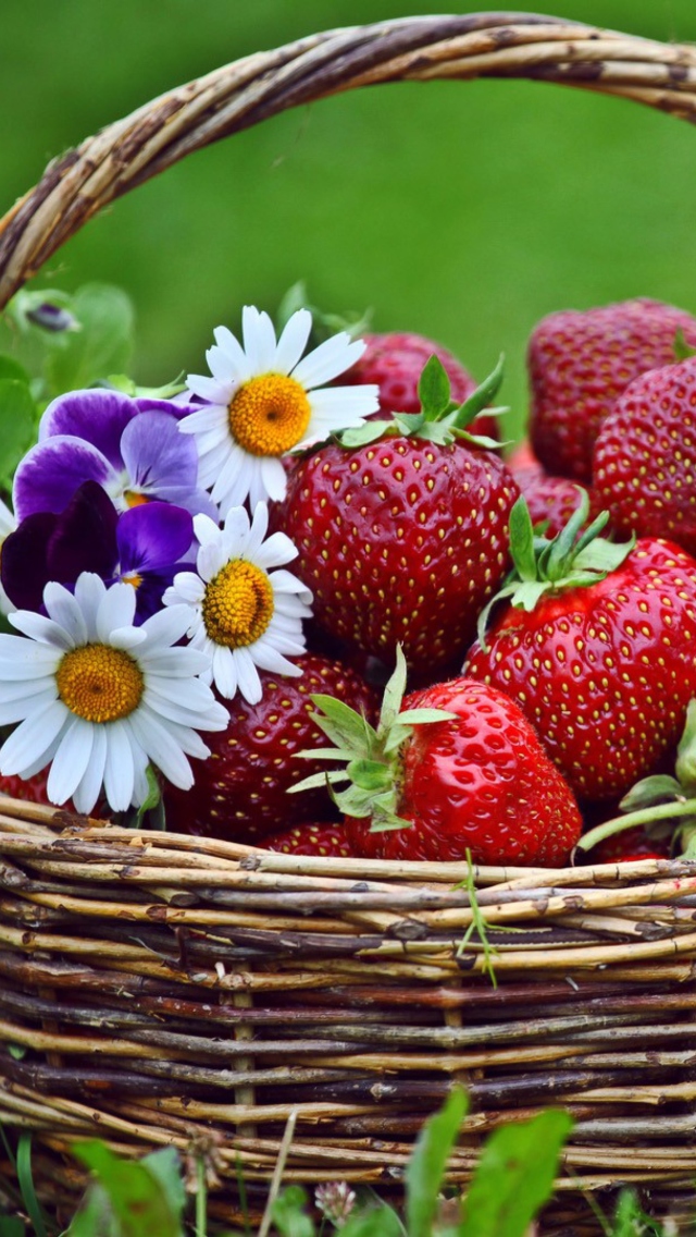 Fondo de pantalla Berries And Flowers 640x1136