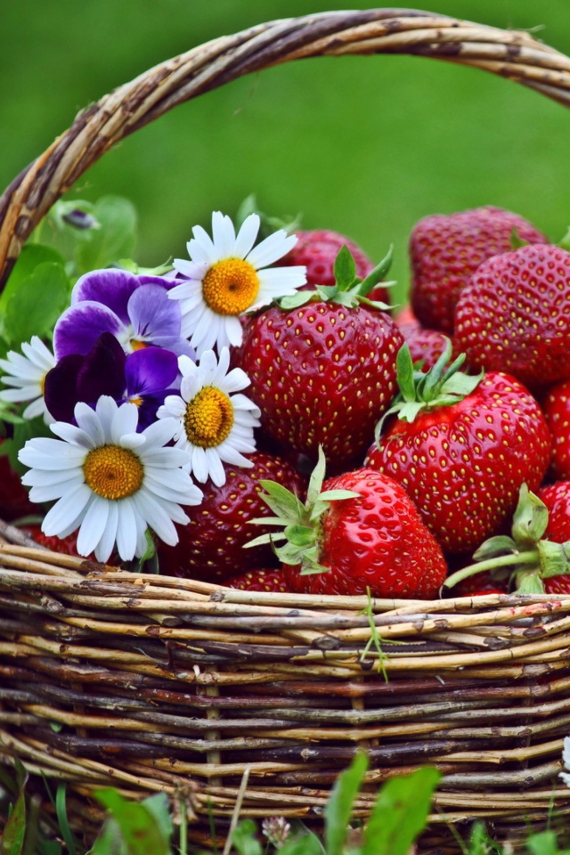 Berries And Flowers wallpaper 640x960