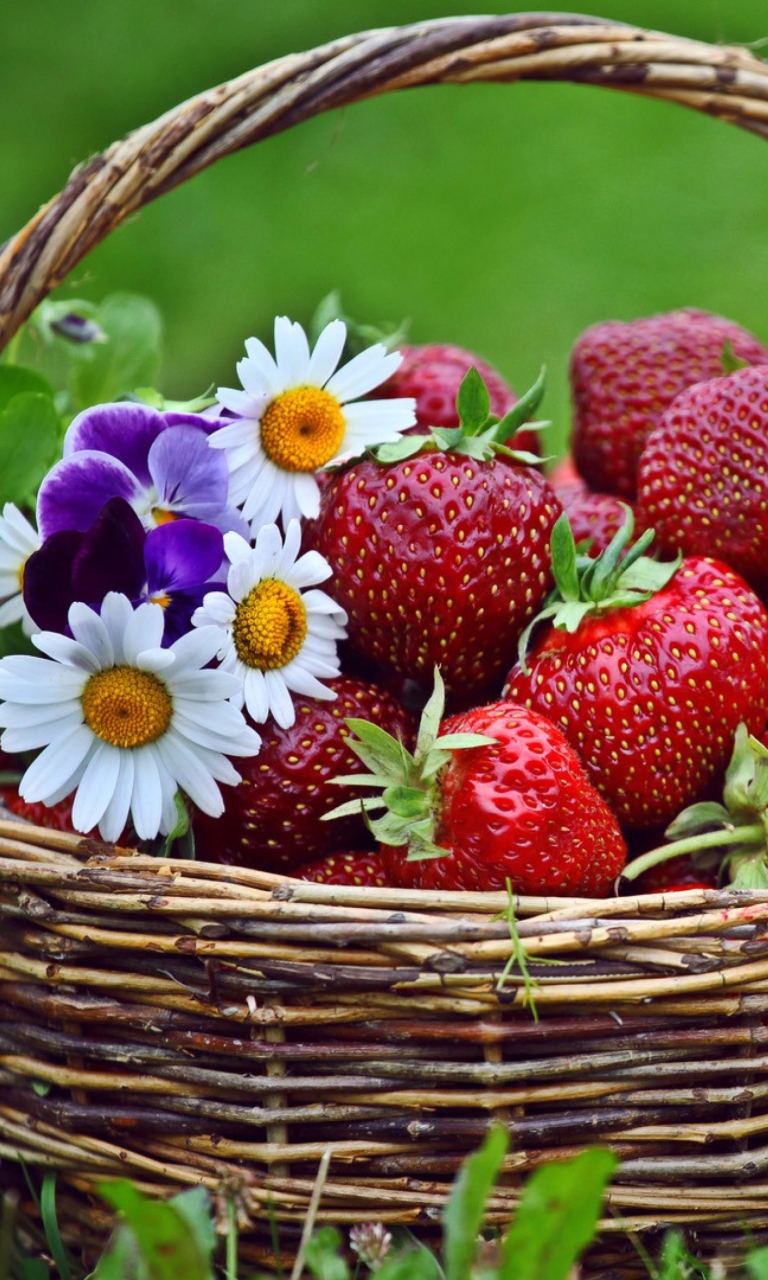 Das Berries And Flowers Wallpaper 768x1280