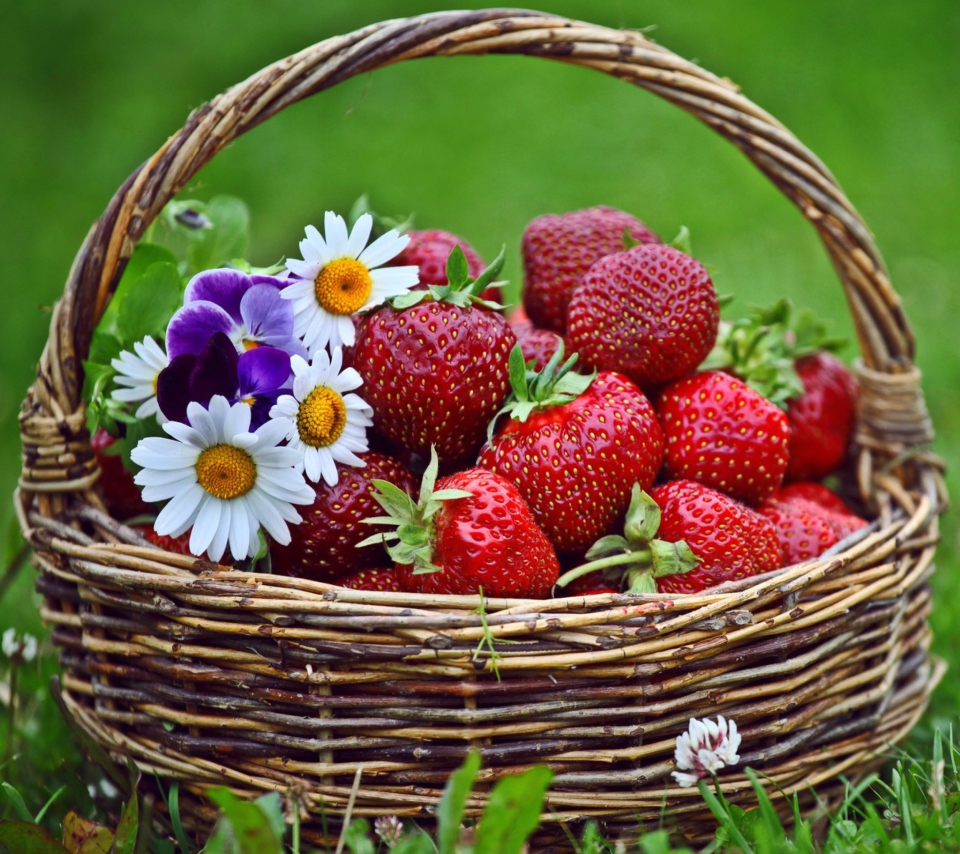 Berries And Flowers wallpaper 960x854