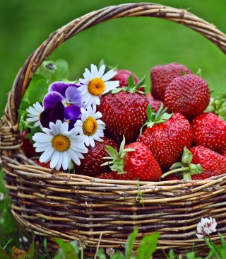 Berries And Flowers Wallpaper for Nokia Asha 308