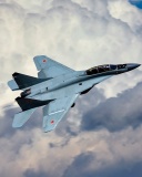 Screenshot №1 pro téma Mikoyan MiG 29 128x160