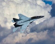 Das Mikoyan MiG 29 Wallpaper 220x176