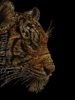 Fondo de pantalla Tiger Art 240x320