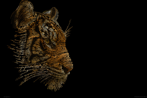Tiger Art wallpaper 480x320