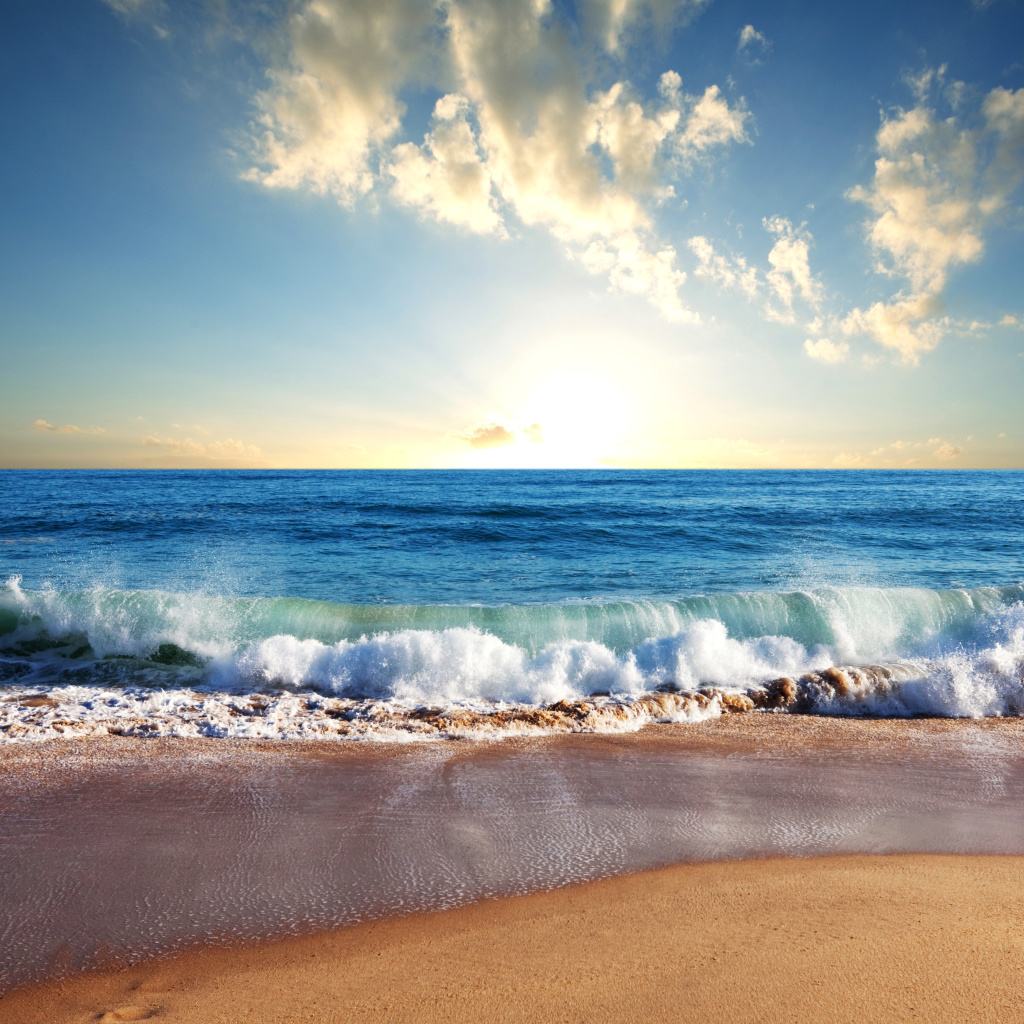 Beach and Waves wallpaper 1024x1024