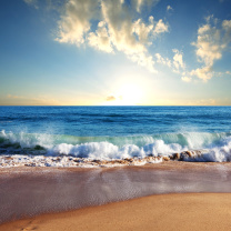 Beach and Waves wallpaper 208x208