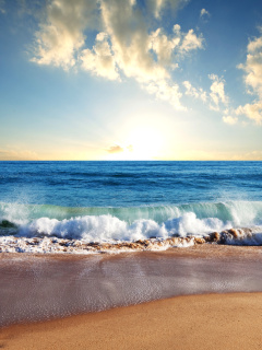 Beach and Waves wallpaper 240x320