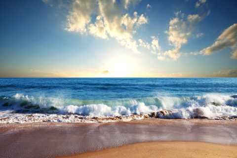Beach and Waves screenshot #1 480x320