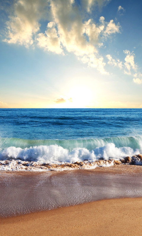 Beach and Waves wallpaper 480x800