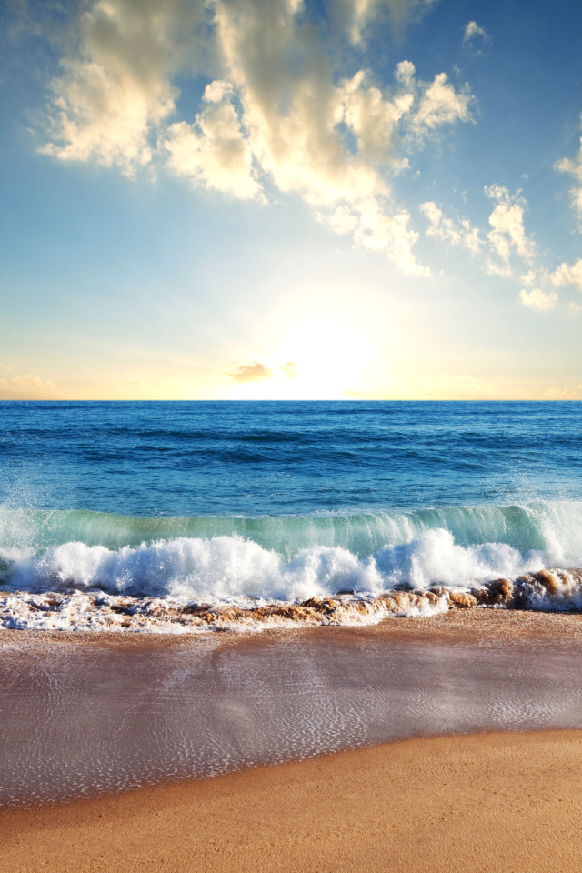 Beach and Waves wallpaper 640x960