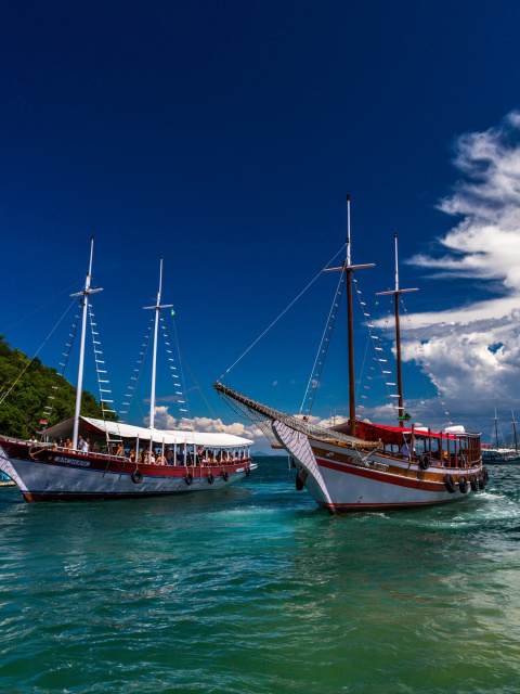 Fondo de pantalla Ipanema Sailboat 480x640