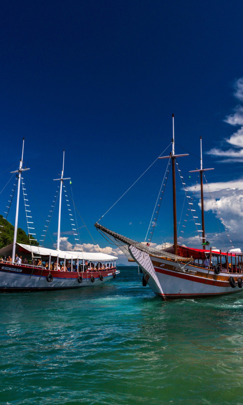 Sfondi Ipanema Sailboat 480x800