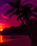 Sfondi Thailand Beach Sunset 128x160