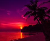 Thailand Beach Sunset screenshot #1 176x144