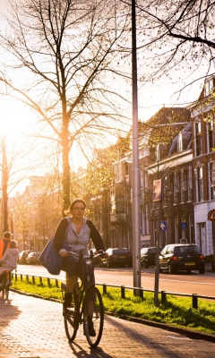 Spring Utrecht screenshot #1 240x400