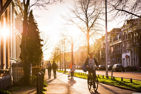 Spring Utrecht screenshot #1 480x320