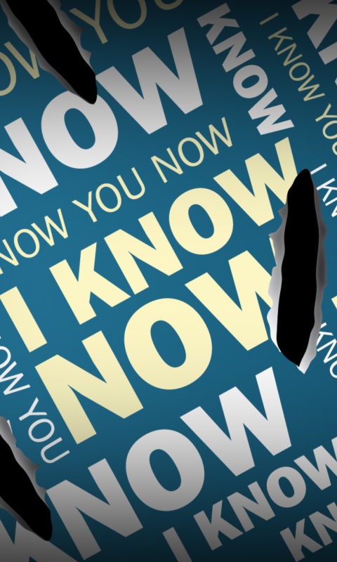 I Know You Now wallpaper 480x800