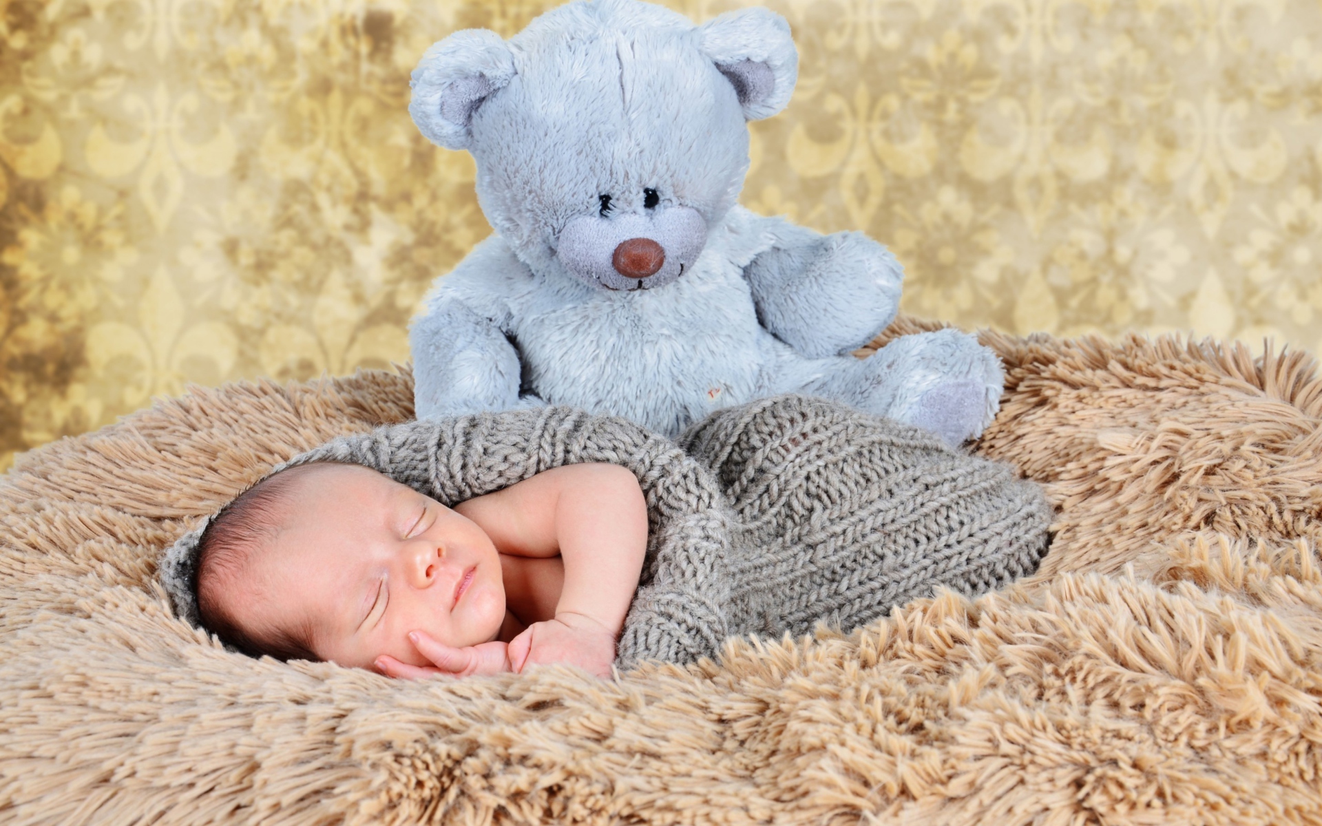 Baby And His Teddy wallpaper 1920x1200