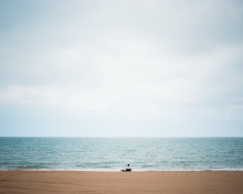 Das Alone On Beach Wallpaper 220x176