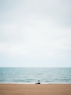 Alone On Beach screenshot #1 240x320