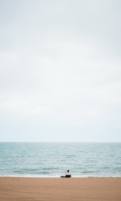 Alone On Beach screenshot #1 240x400