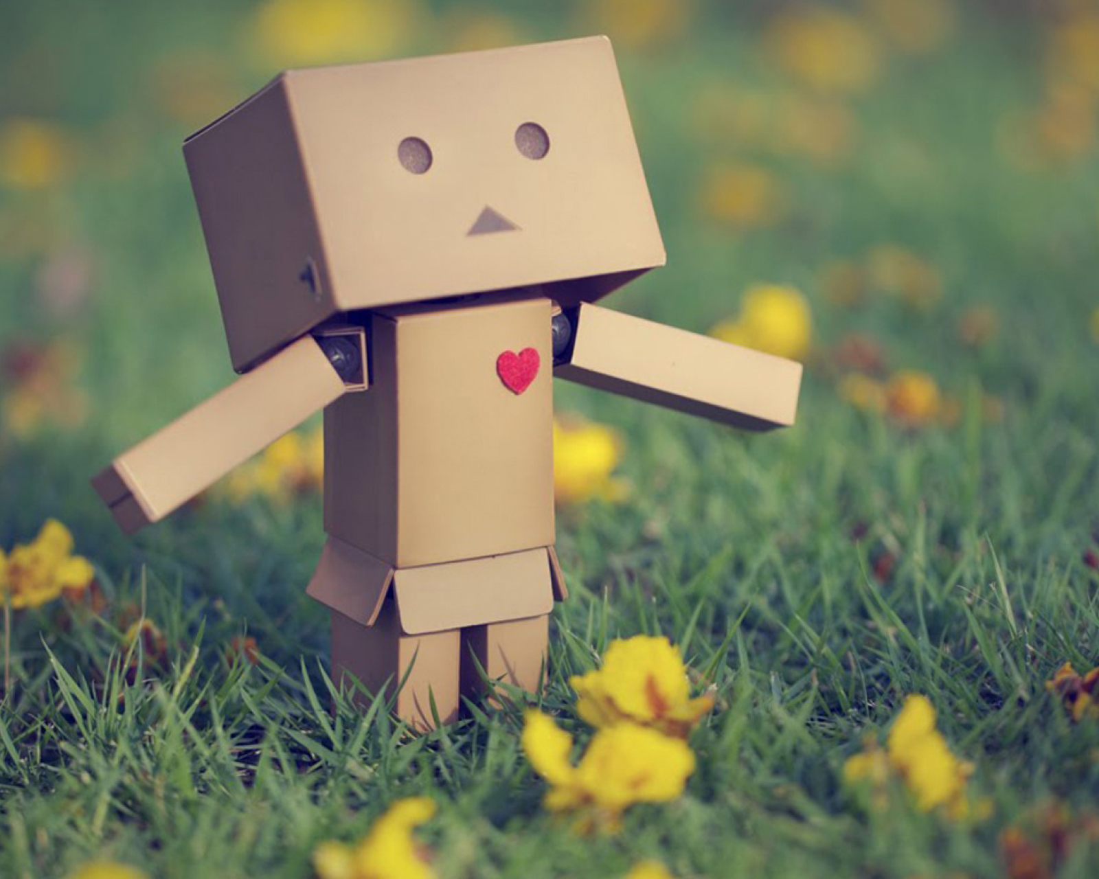 Das Danbo In Love Wallpaper 1600x1280