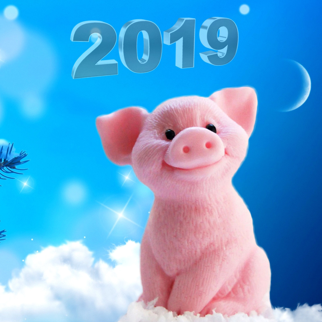 Обои 2019 Pig New Year Chinese Calendar 1024x1024