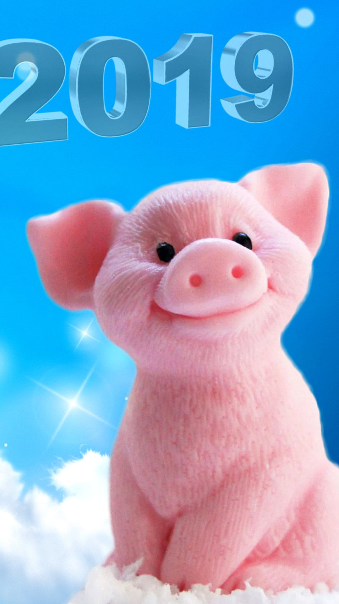 Sfondi 2019 Pig New Year Chinese Calendar 1080x1920