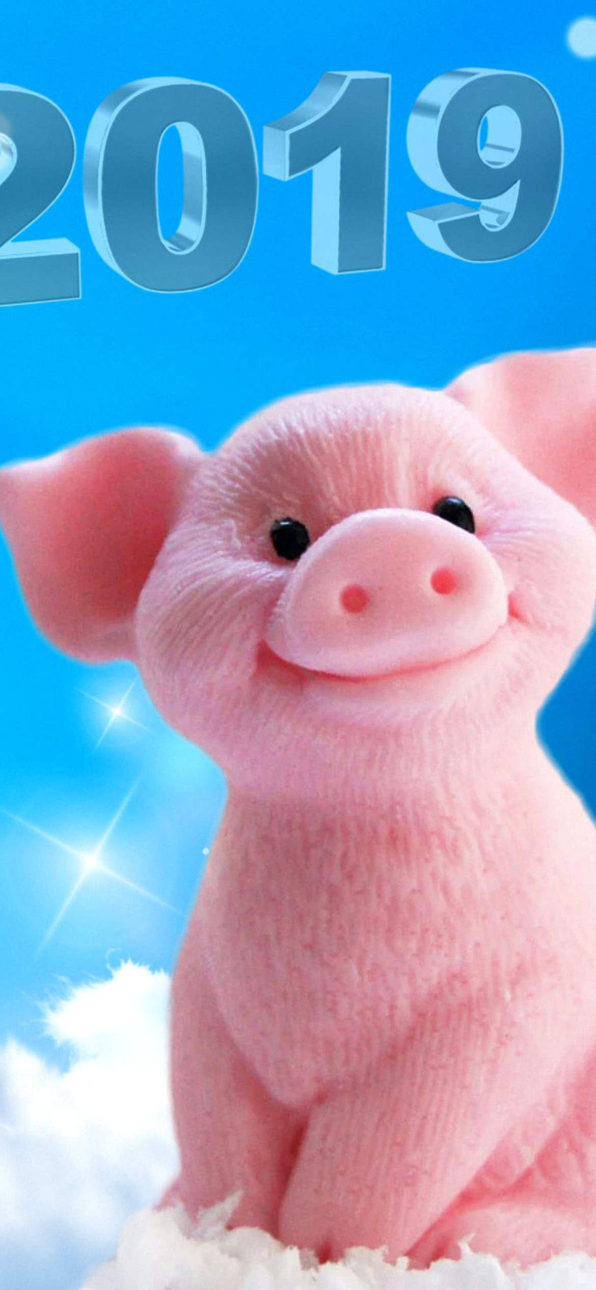 Fondo de pantalla 2019 Pig New Year Chinese Calendar 1170x2532